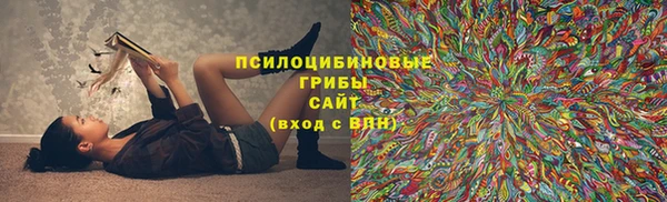 крисы Алексеевка