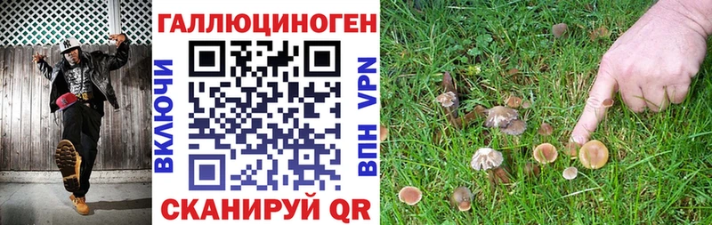 кракен ссылки shop клад Тейково Псилоцибиновые грибы мицелий наркошоп